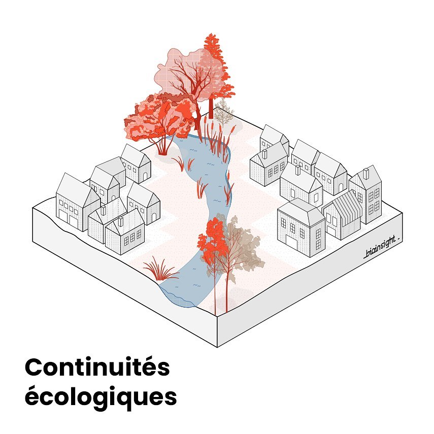 Illustrations et schémas pédagogiques
