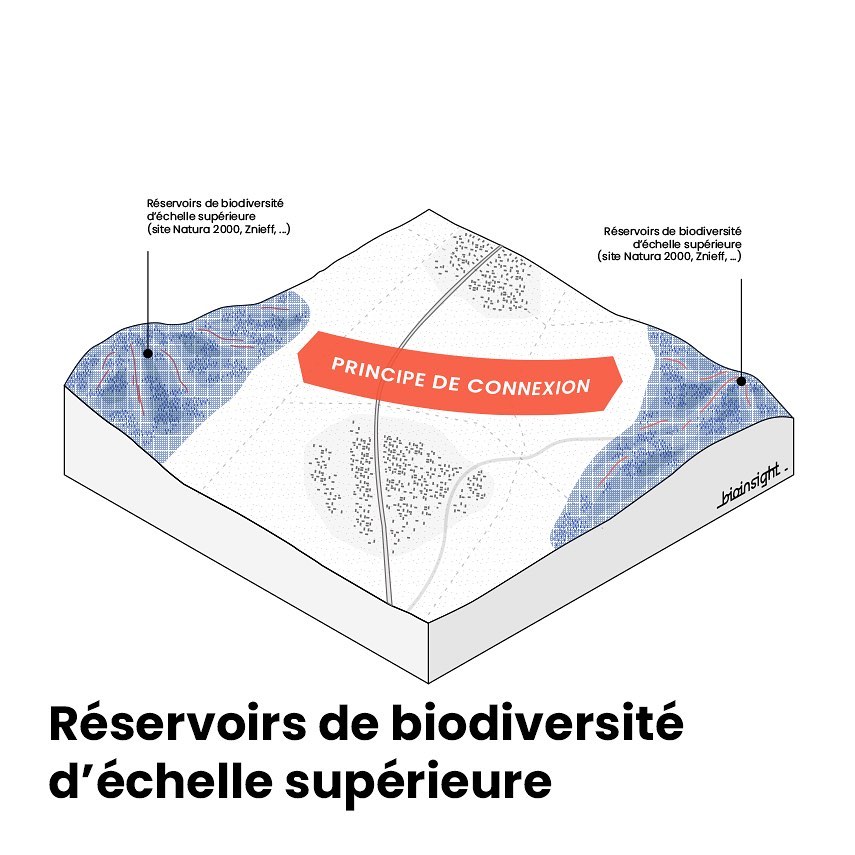 Illustrations et schémas pédagogiques