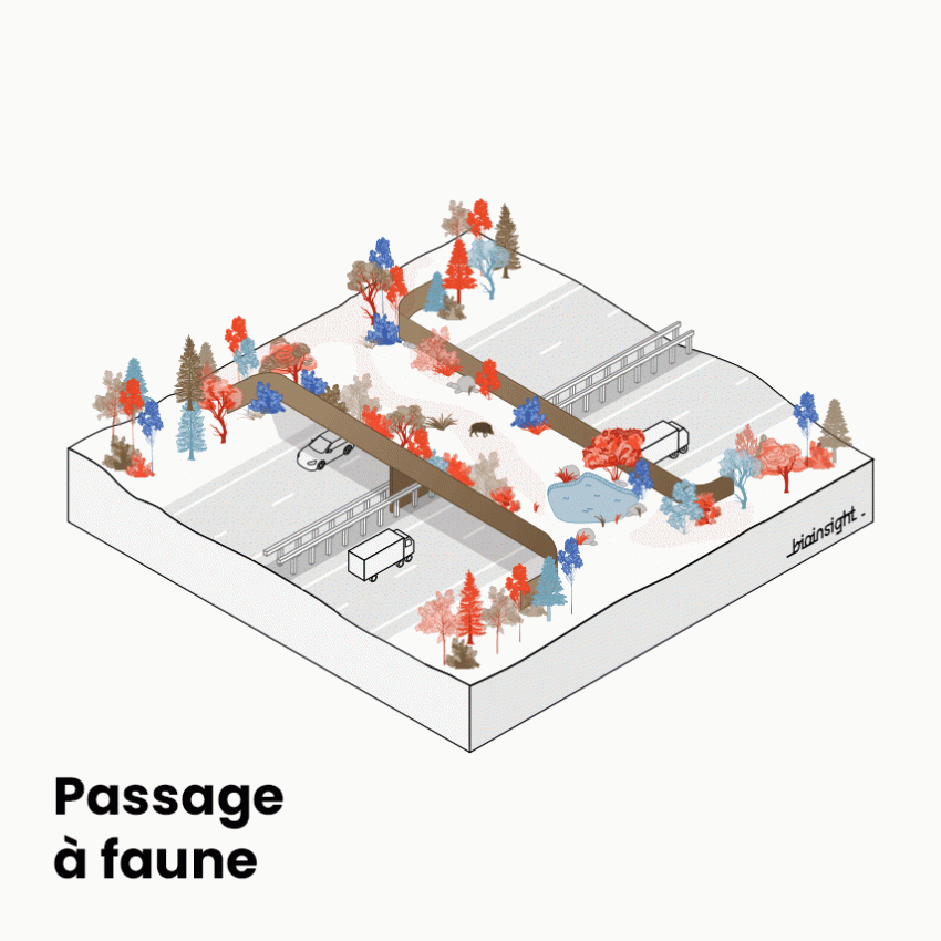 Illustrations et schémas pédagogiques