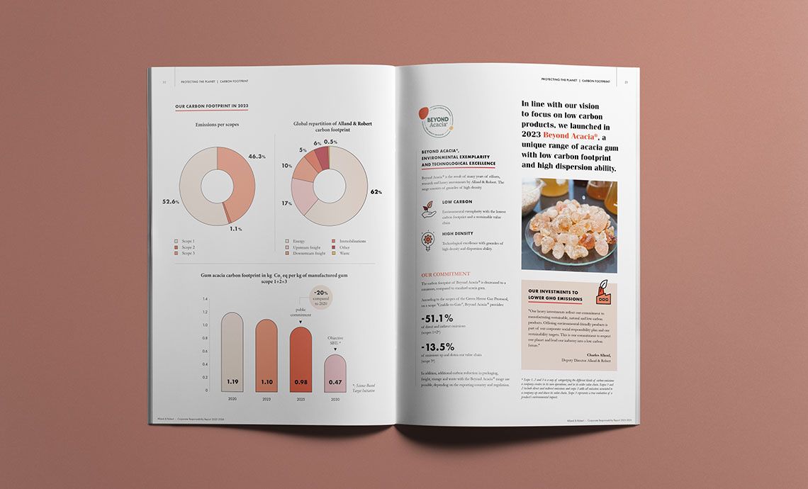 Rapport RSE