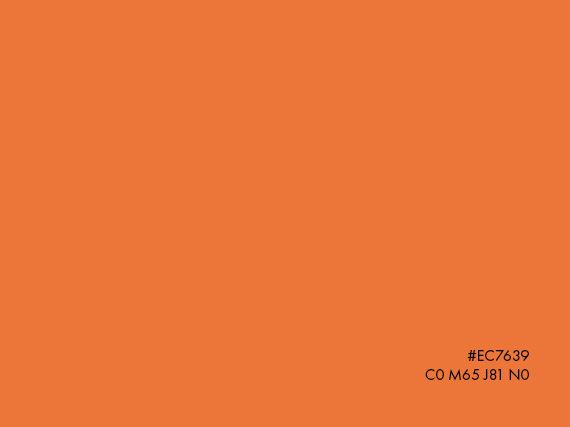 Création du logo et de la charte graphique