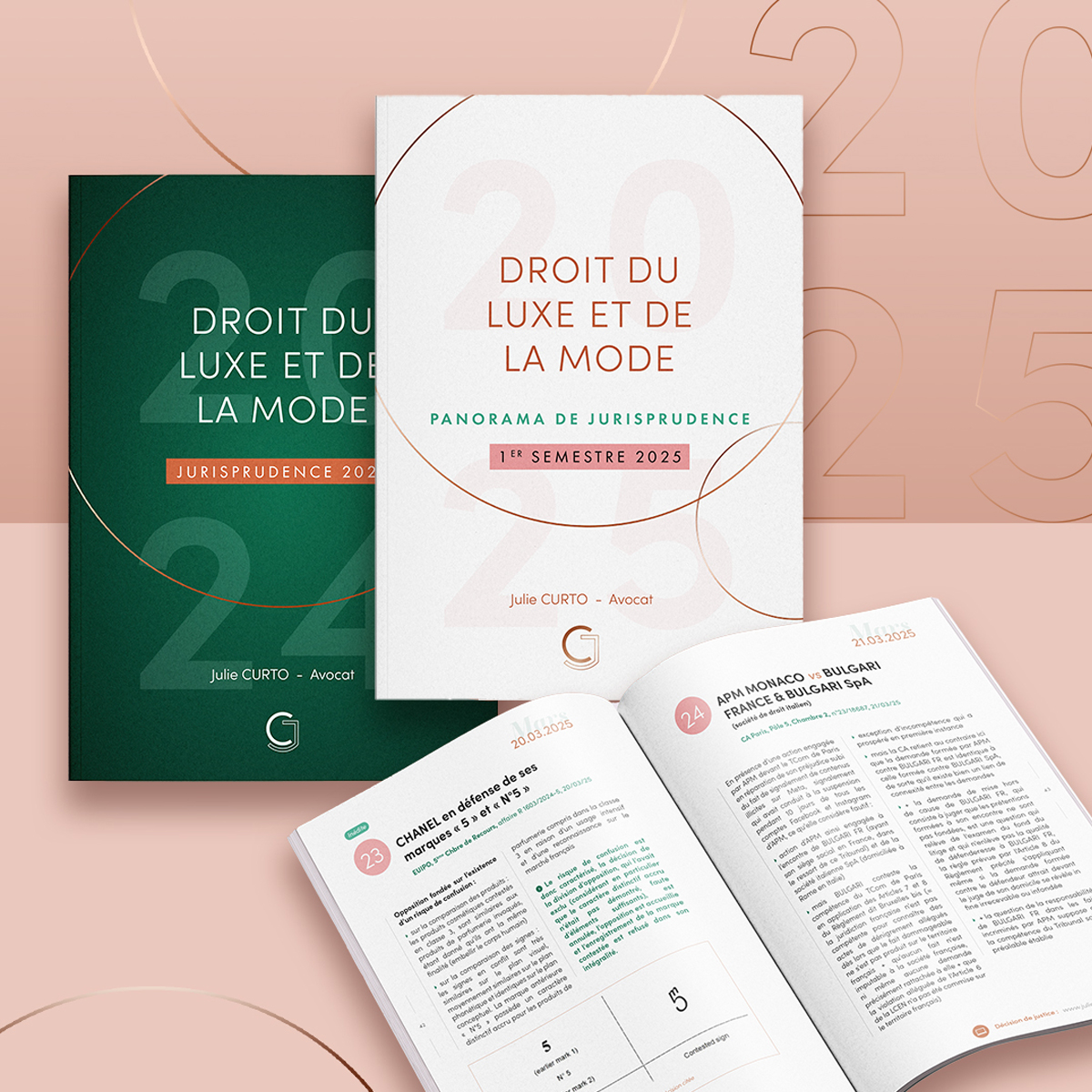Mise en page de l’ouvrage semestriel sur les décisions marquantes en propriété intellectuelle